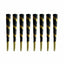 Shine | Tiger Stripes King Size 8 cones - 12 Packs