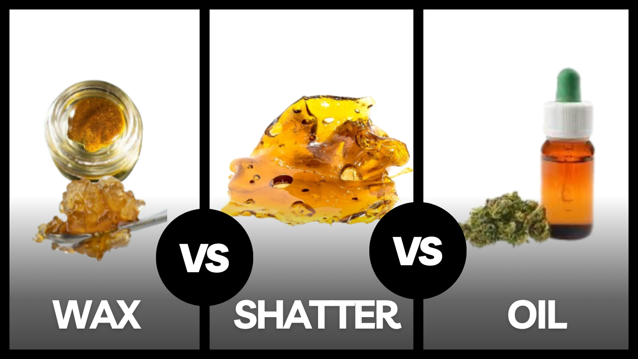 Wax vs Shatter vs Oil: What Rig Should You Choose?