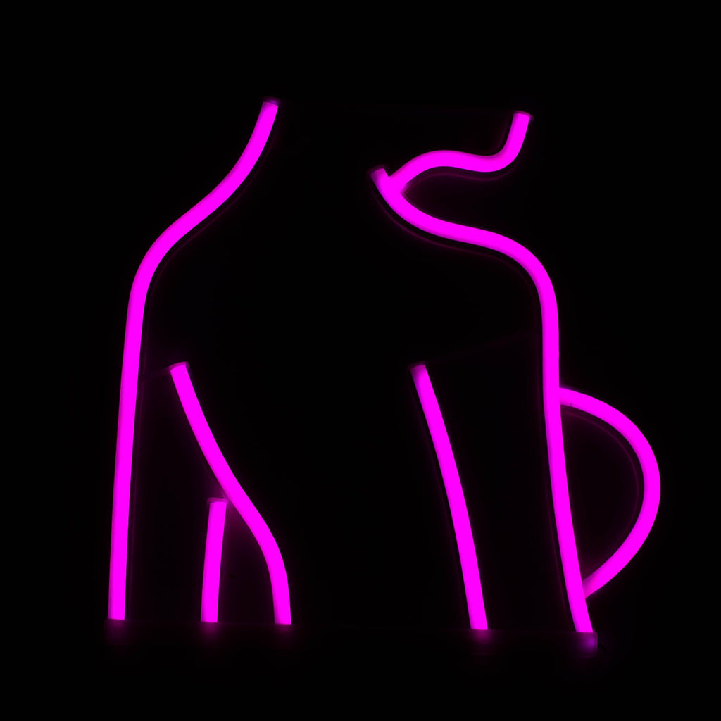 LED Neon Decoration Signs - Sexy Collections