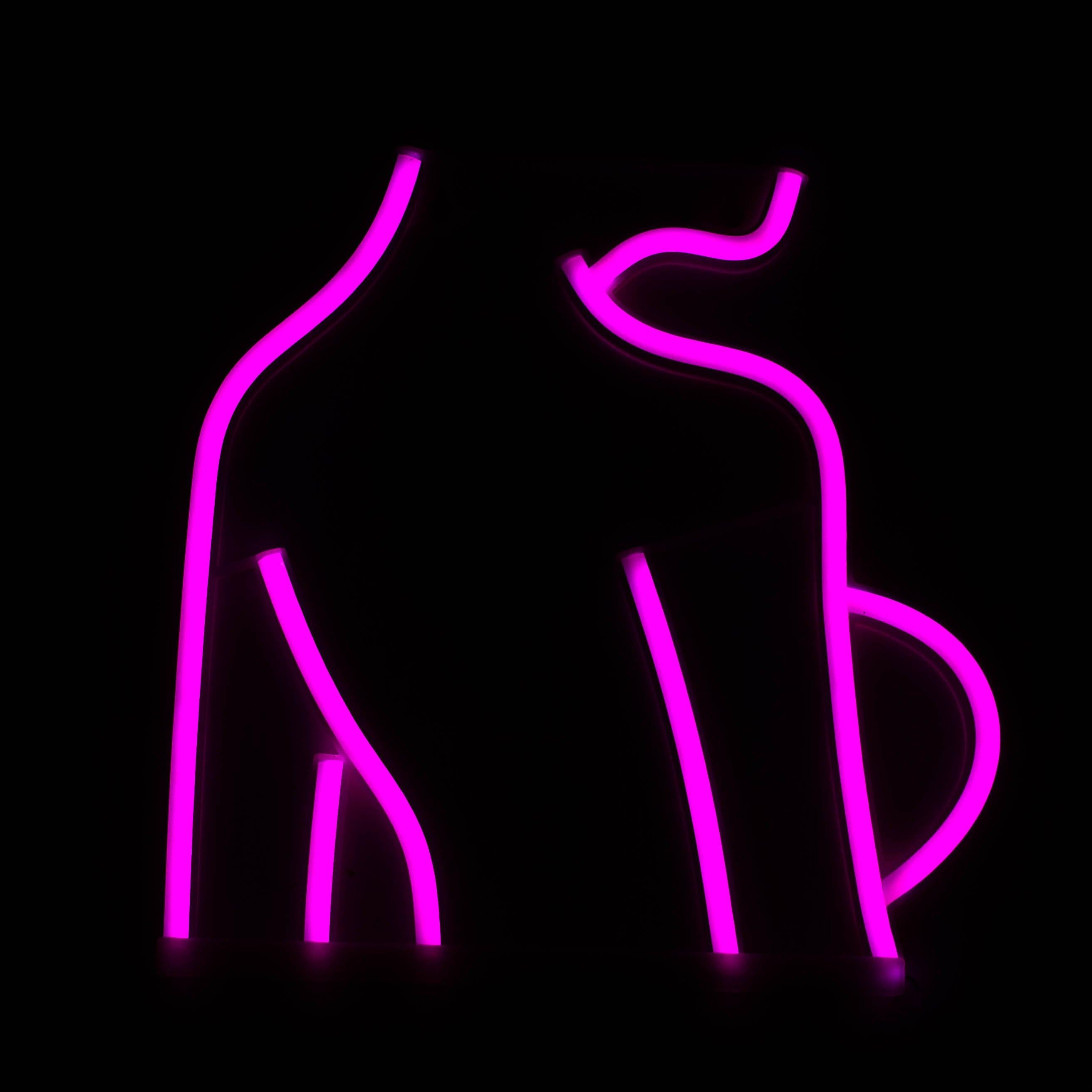 LED Neon Decoration Signs - Sexy Collections