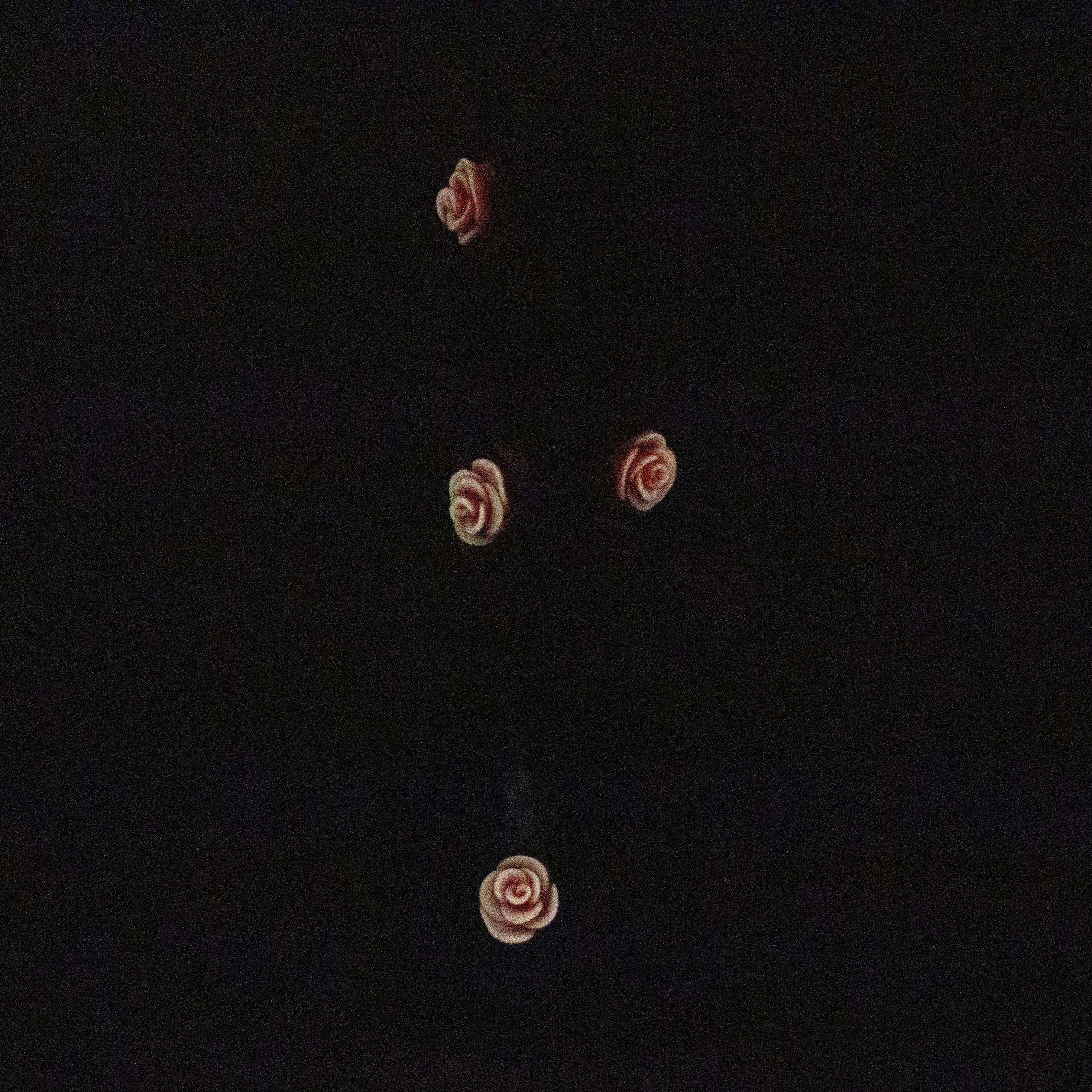 13" Resin 3D Octo-Skull  glass beaker  [DY526]