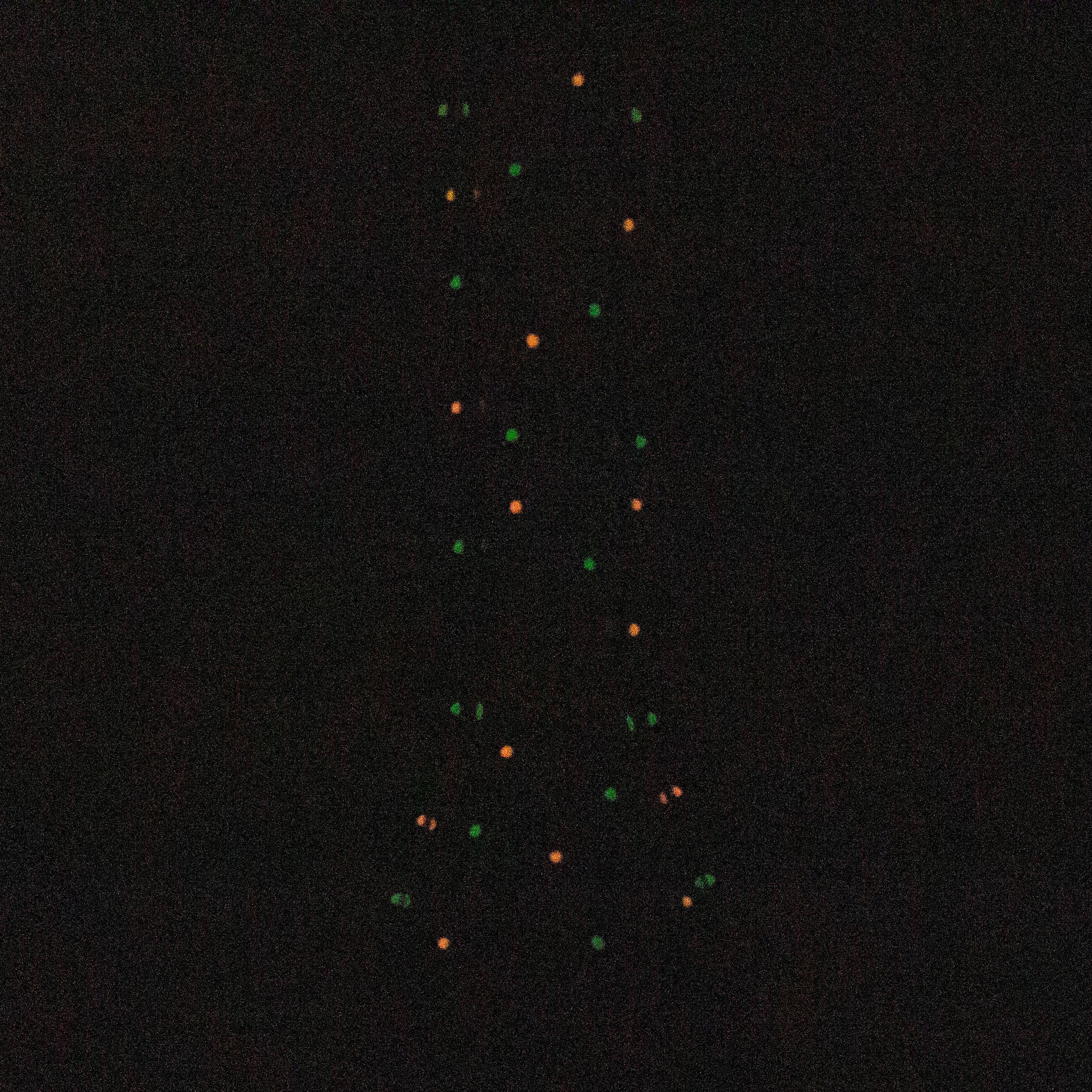 13" Resin 3D Monster Hare 7mm glass beaker  [DY512]