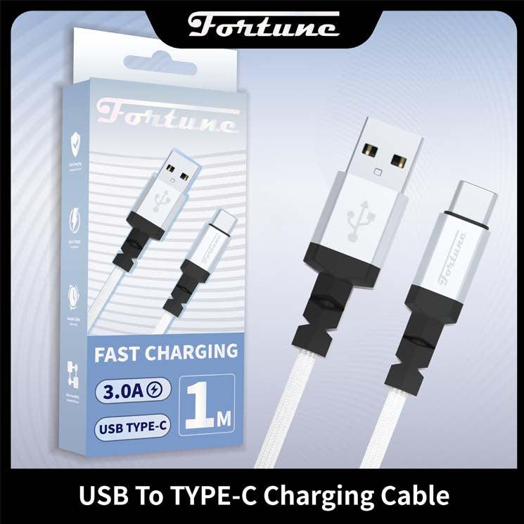 Fortune USB-Type C Cable Secondary image