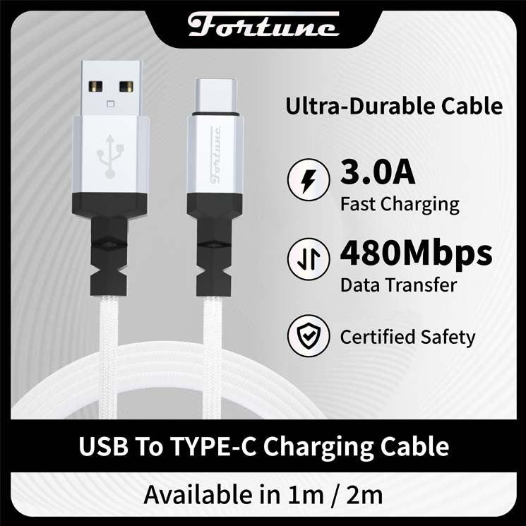 Fortune USB-Type C Cable Main image