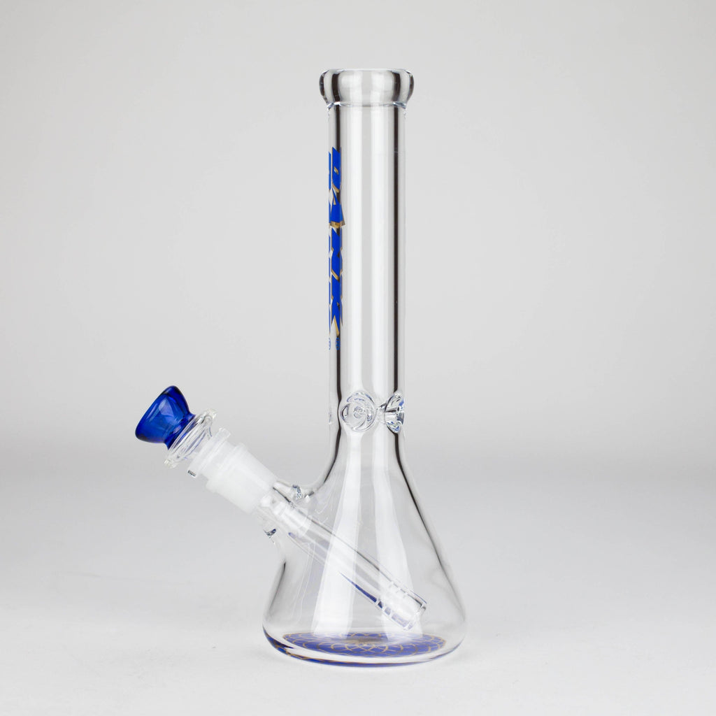 Dank | 10 " Beaker glass water Bong