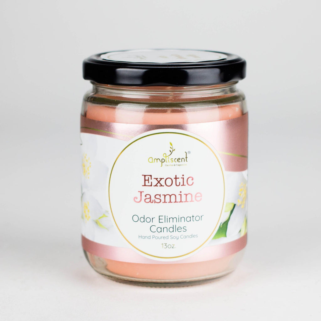 Ampliscent | Candles Odor Eliminator – 13oz