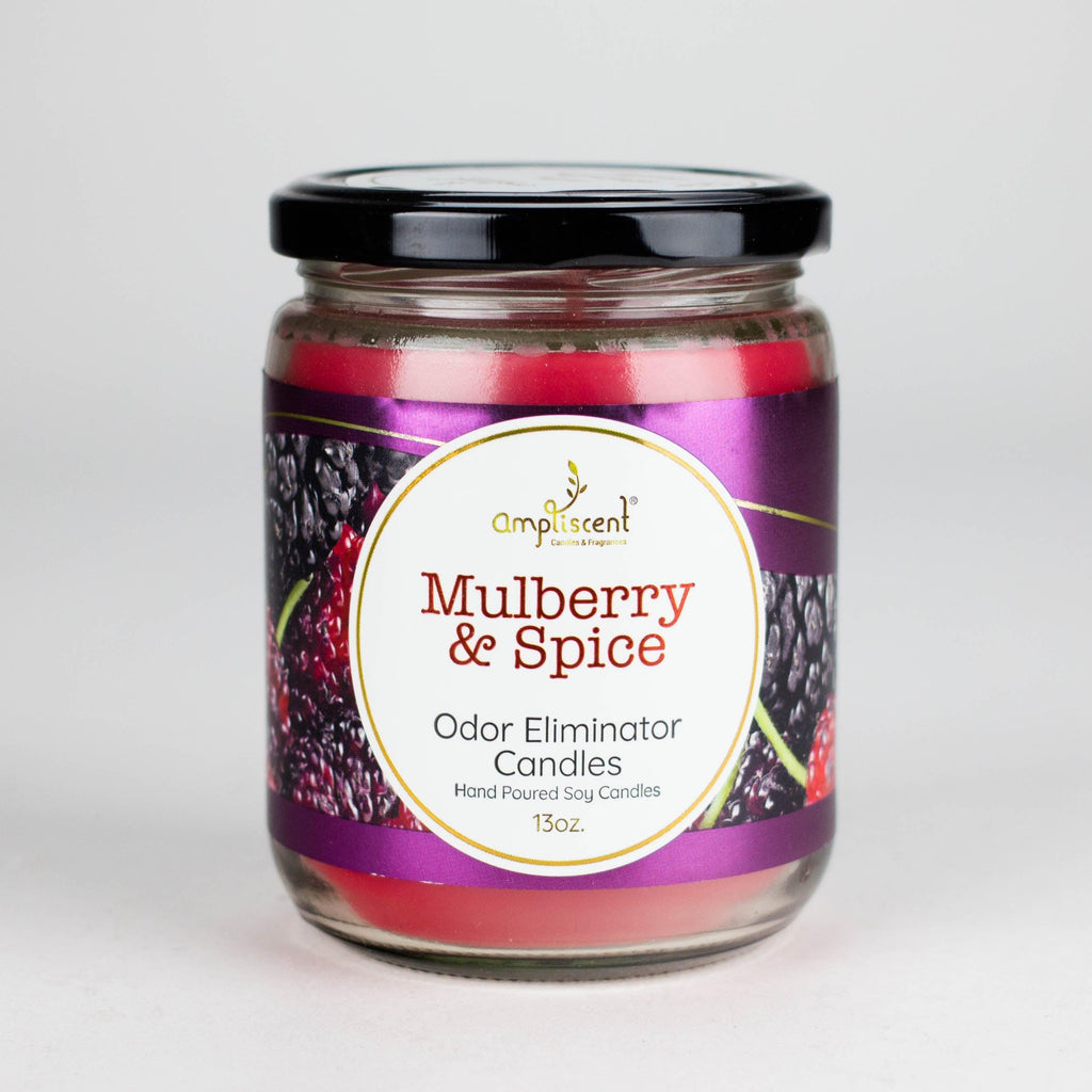 Ampliscent | Candles Odor Eliminator – 13oz