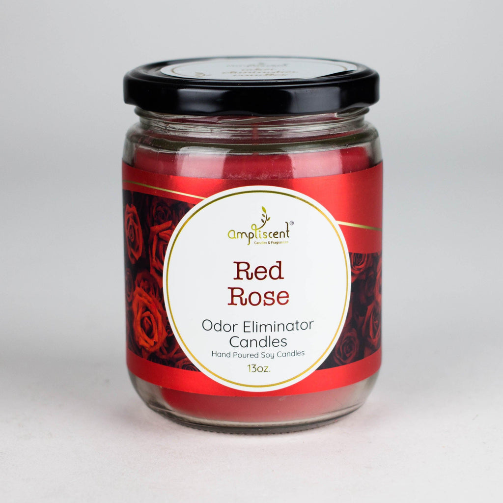 Ampliscent | Candles Odor Eliminator – 13oz
