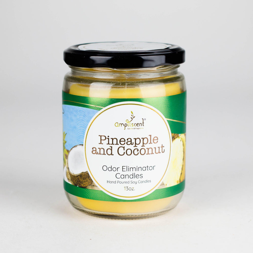 Ampliscent | Candles Odor Eliminator – 13oz