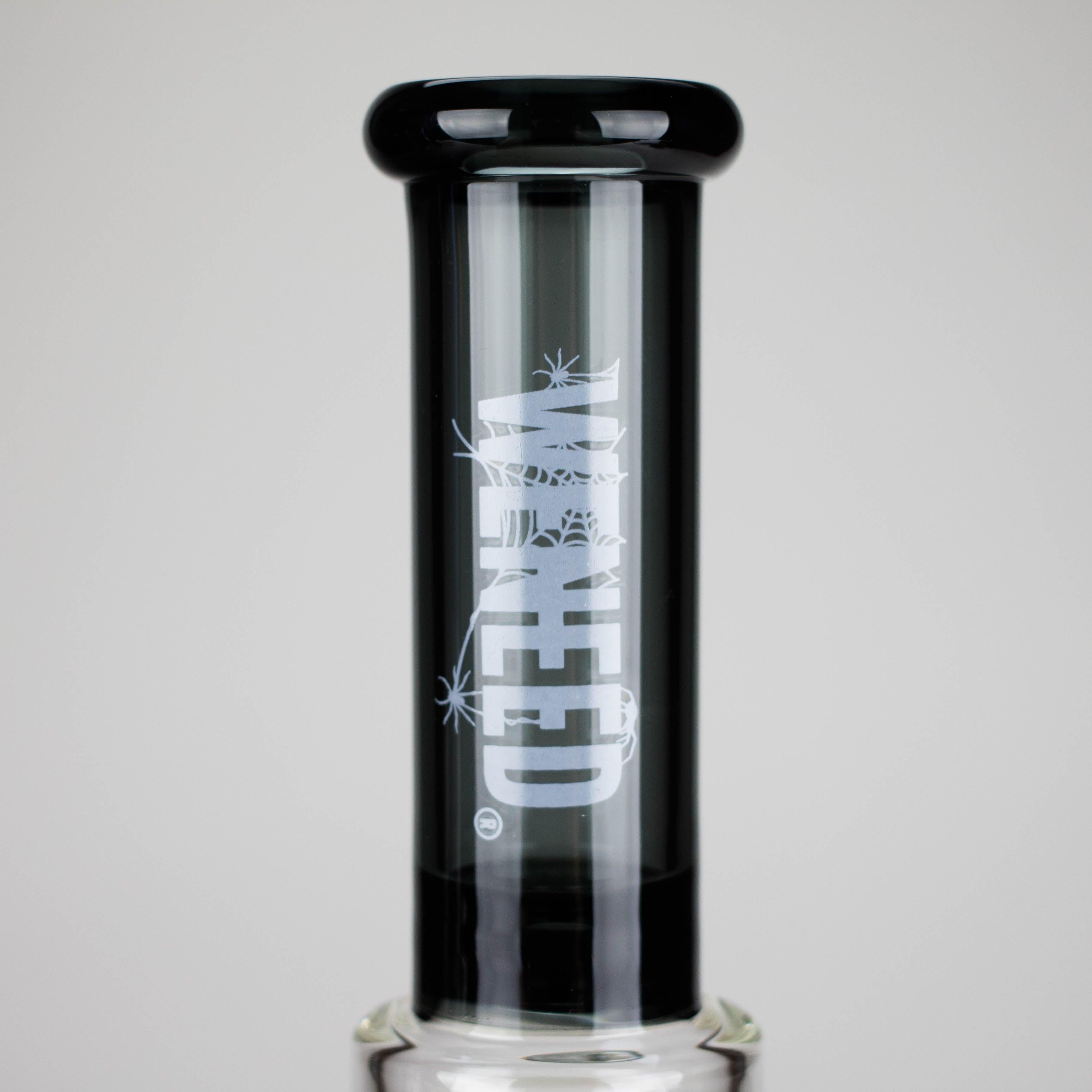 WENEED | 12" SpiralFlow Glass Bong