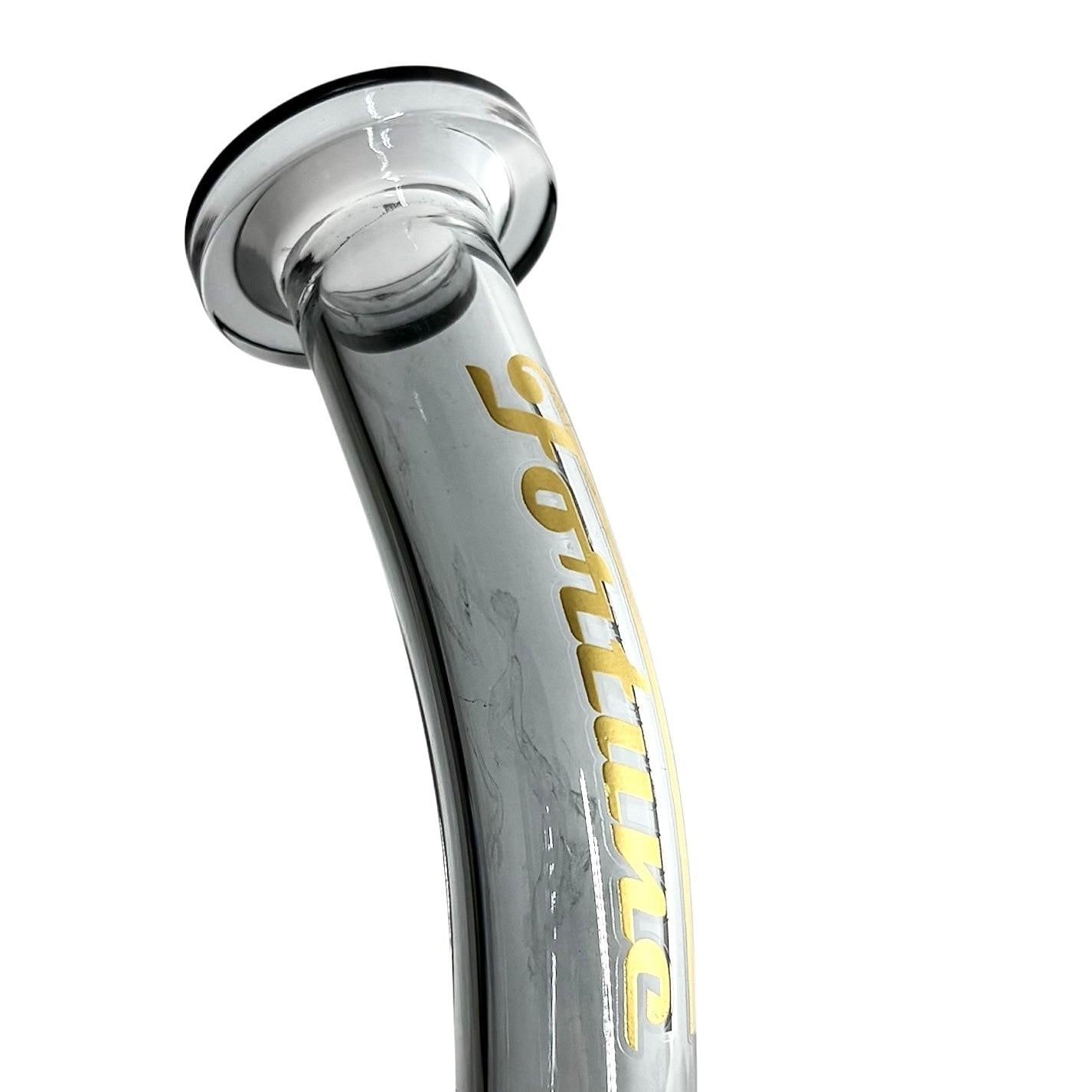 10" Electroplated With Perc Glass Bong