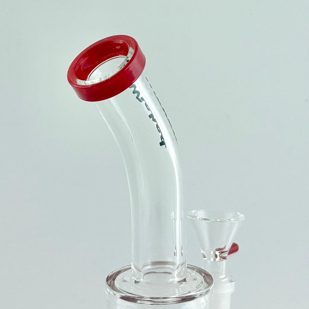 Wicked | 8" Dome Perc Dab Rig
