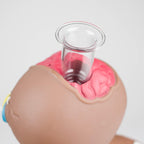 11.5" Vinyl gingerbread man water pipe