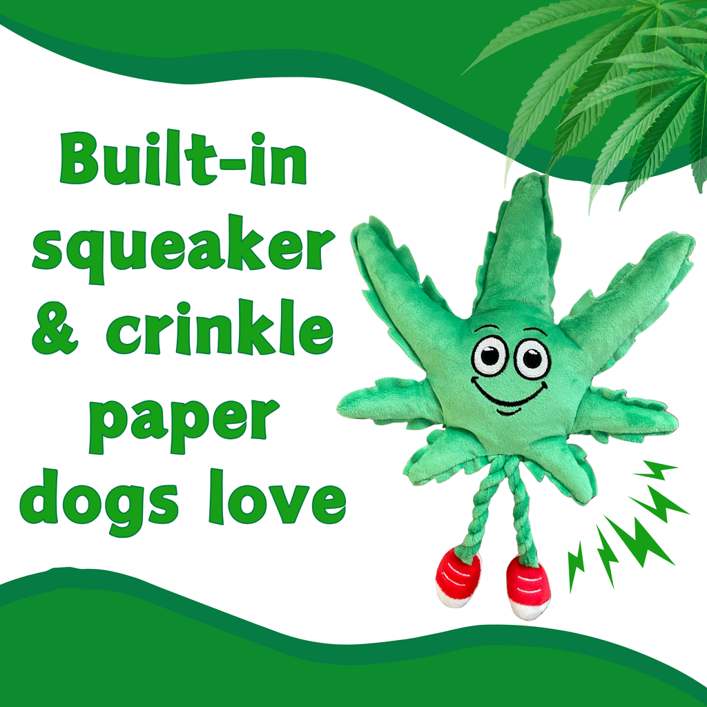 MJ the Marijuana Leaf - Squeaky Dog Toy - Shelf-Sitter Plushie - 13"