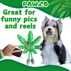 Mary Jane the Marijuana Leaf - Squeaky Dog Toy & Shelf-Sitter Plushie - 13"