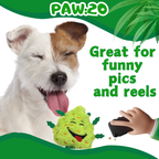 Bud the Weed Nug - Parody Plush Squeaky Dog Toy - 6"