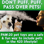 Bud the Weed Nug - Parody Plush Squeaky Dog Toy - 6"