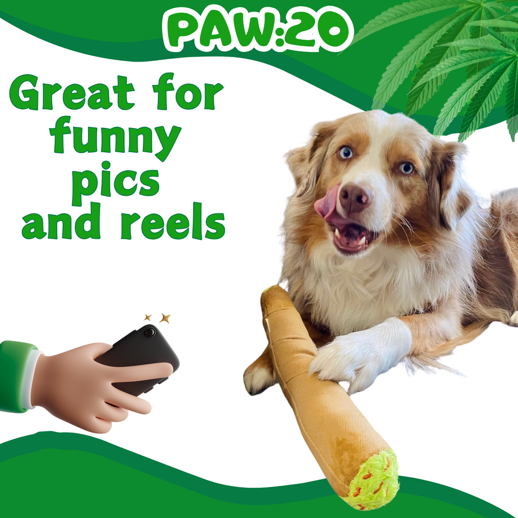 B the Blunt - Squeaky Parody Dog Toy - 10"