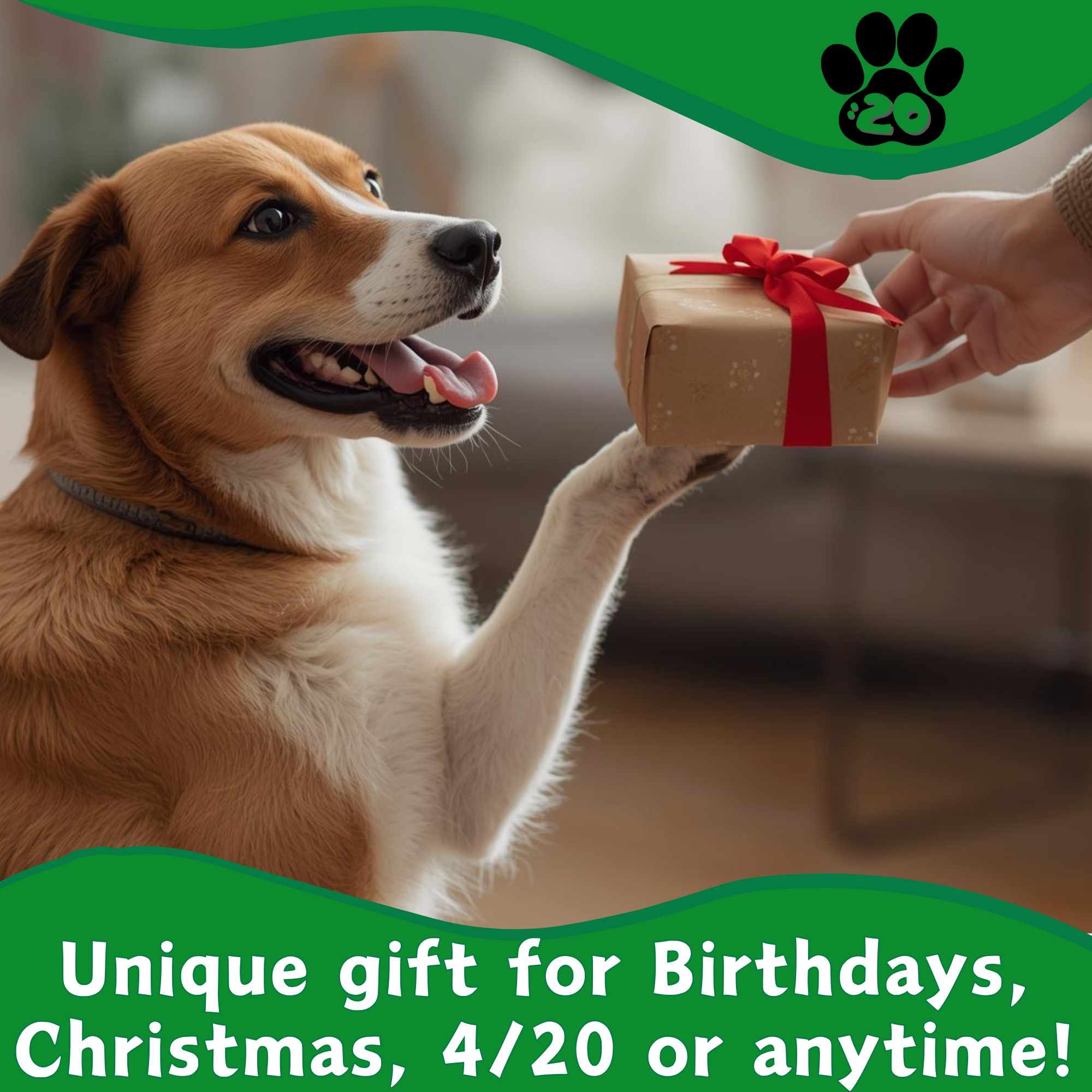 B the Blunt - Squeaky Parody Dog Toy - 10"