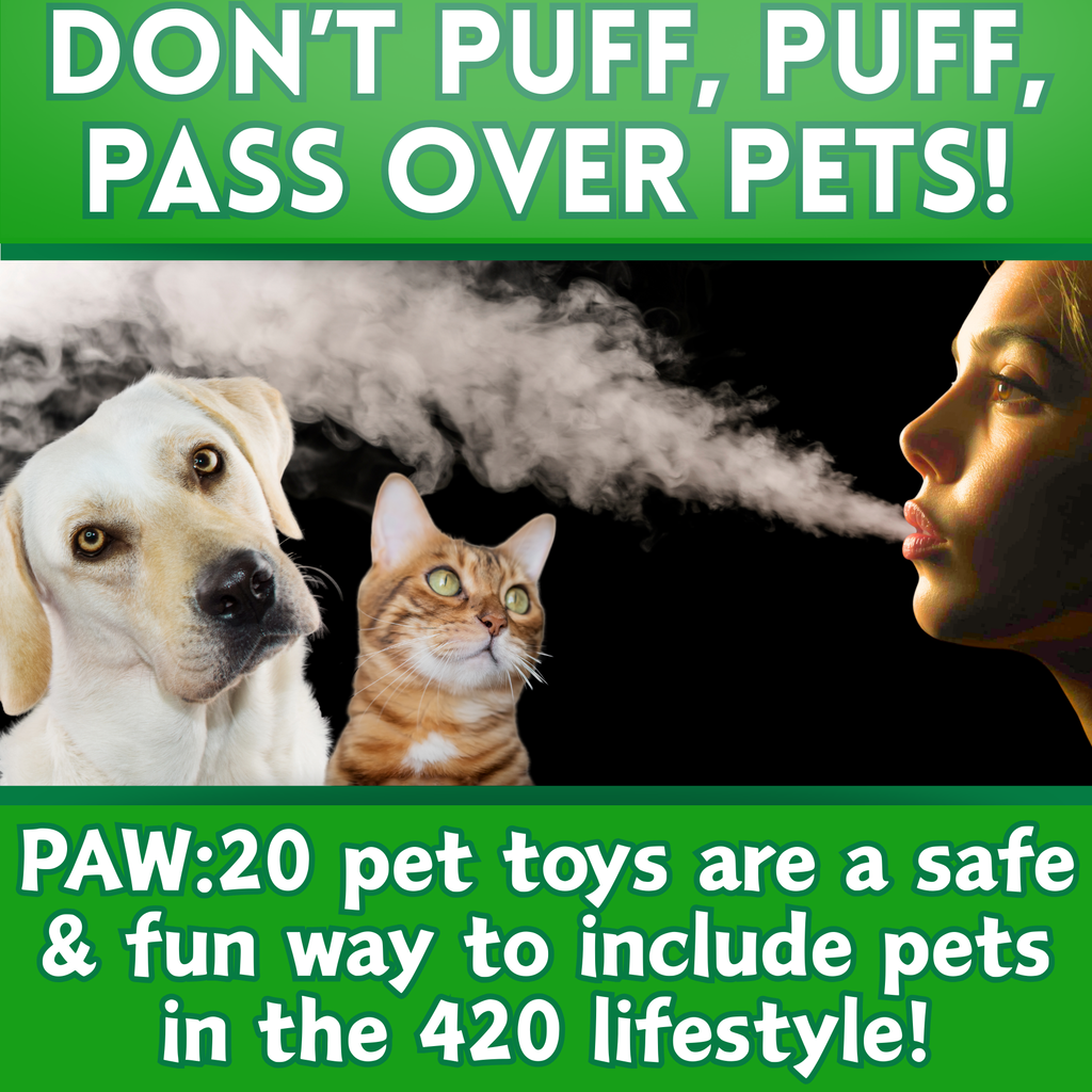 B the Blunt - Squeaky Parody Dog Toy - 10"