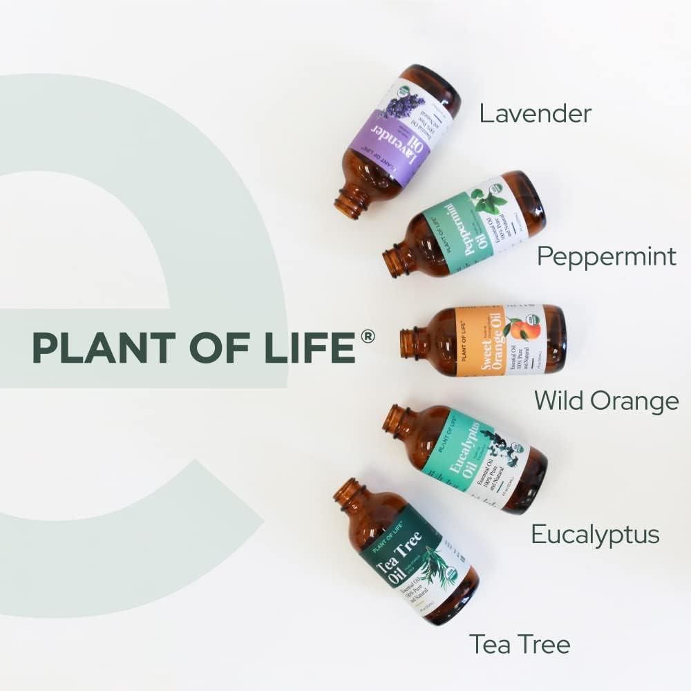 Plant of Life | Organic Essential Oil 1oz Main image