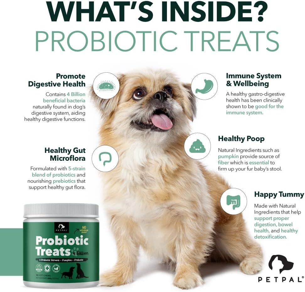 PetPal | Probiotic 4 Billion Soft Chew Treats for Dogs Secondary image