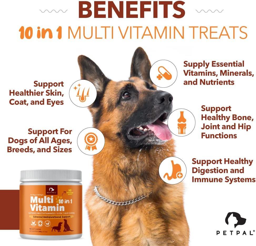 PetPal | Multi Vitamin Soft Chew Treats for Dogs Secondary image