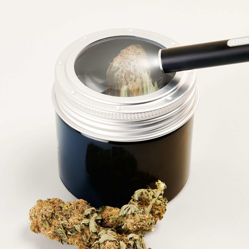 The Showcase Gift Box | Custom Glass Display & Storage Gift Box