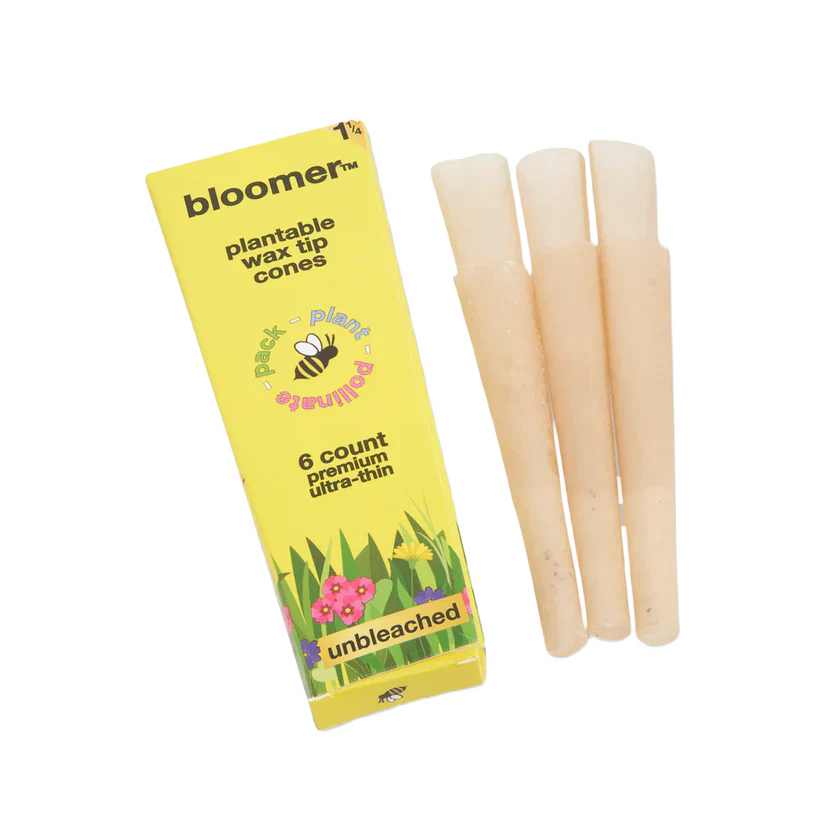 bloomer™ 1-1/4 paper cones - unbleached Box of 21 Secondary image