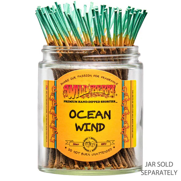 WILD BERRY | 4" Incense Shorties - 100ct