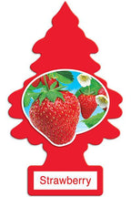 Little Trees fragrances