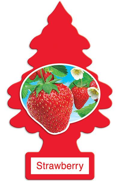 Little Trees fragrances